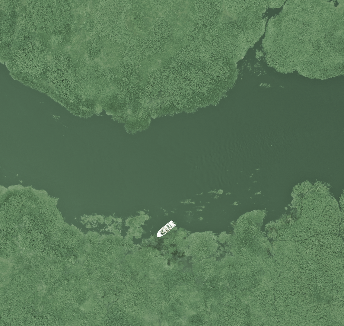 Para construir un futuro mejor, hay que diseñarlo con propósito.